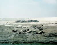 Edifice, montagne blanche - Tirage argentique - 80x100 cm - 2005