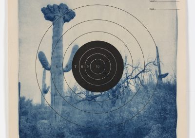Fire Pistol Target 9, Désert de Sonora – Arizona